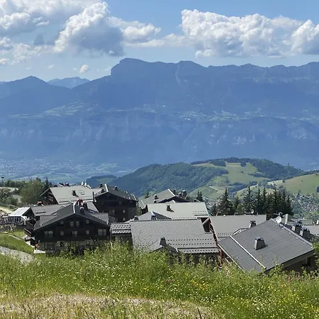 Les 7 Laux Immobilier B